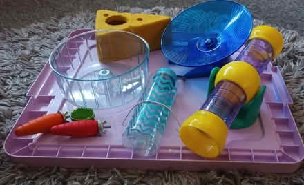 Photo of free Hamster accessories (Leigh Park PO9) #1