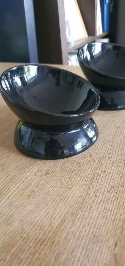 Photo of free Ceramic Cat Bowls (TN35) #2