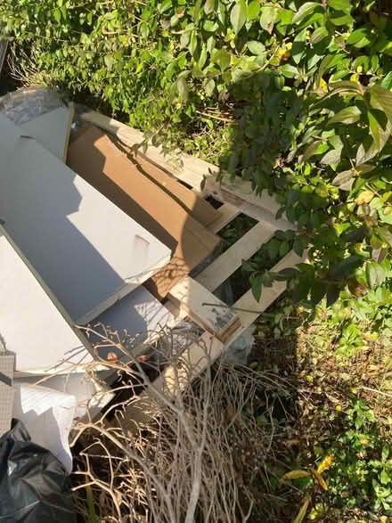 Photo of free off cuts from insulation panels and wooden pallet (Bohemia TN34) #1