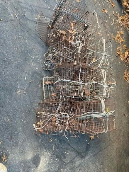 Photo of free Crab traps (Buchanan) #1