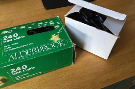 Photo of free Christmas lights (Townsend AL3) #2