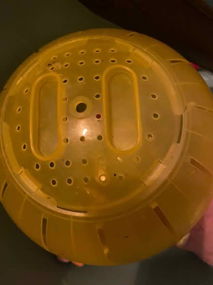Photo of free Hamster cage (L19) #2