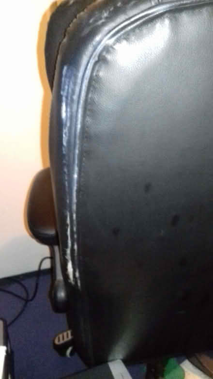 Photo of free Executive office chair (Heald Green SK8) #2