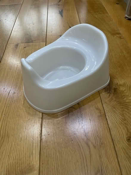 Photo of free White potty (Primrose Hill) #1
