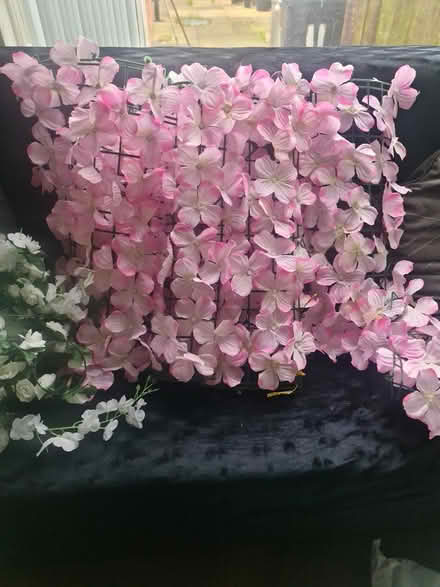 Photo of free Artificial flowers (B12) #3