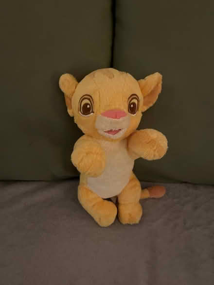 Photo of free Simba stuffy (Etobicoke South) (Etobicoke South (Mimico)) #1