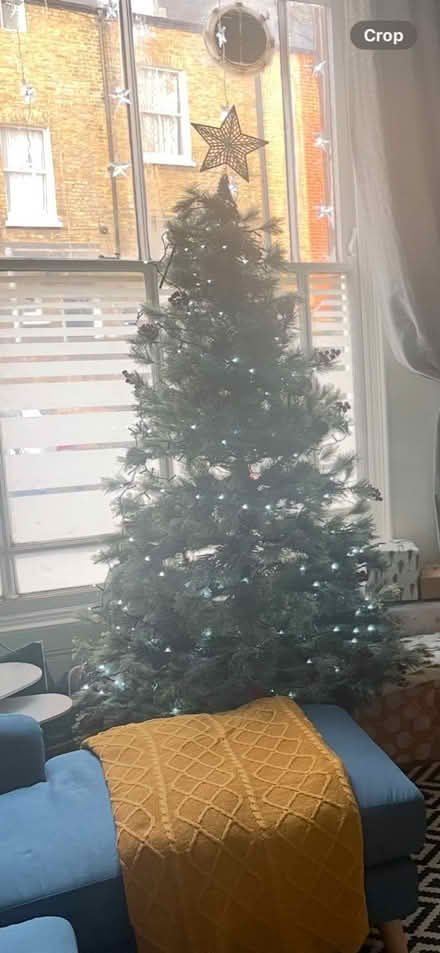 Photo of free 6 Foot Christmas Tree (Camberwell, SE5) #2
