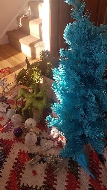 Photo of free Christmas decorations (Staplecross TN32) #2
