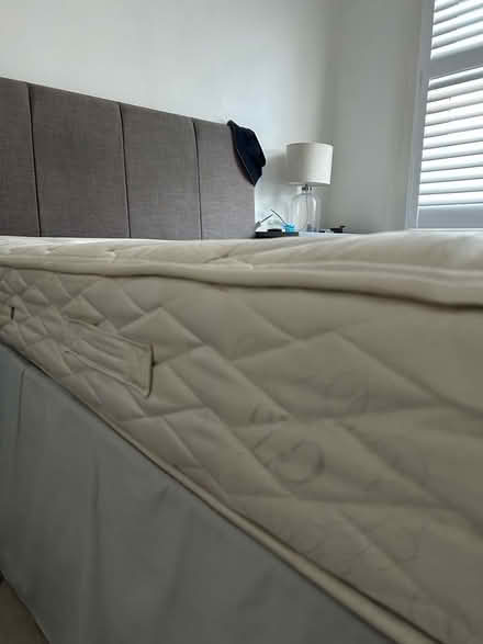 Photo of free Double Sized Mattress (Twickenham TW2) #3