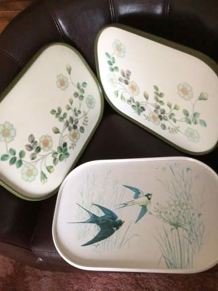 Photo of free Trays (Sutton Courtenay OX14) #1