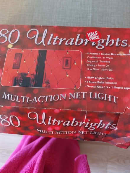 Photo of free Christmas Net Light (Welwyn AL6) #2