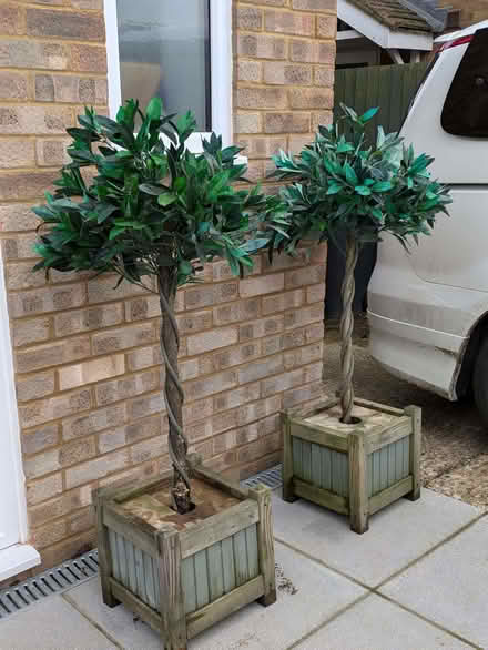 Photo of free Ornamental artificial bay trees (2) (Hook RG27) #2
