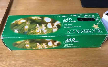 Photo of free Christmas lights (Townsend AL3) #1