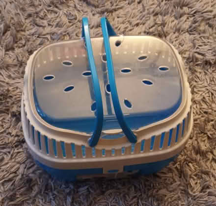 Photo of free Small pet carrier (Leigh Park PO9) #1