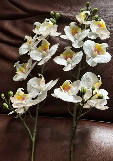 Photo of free Artificial flowers (Great Sankey WA5) #1