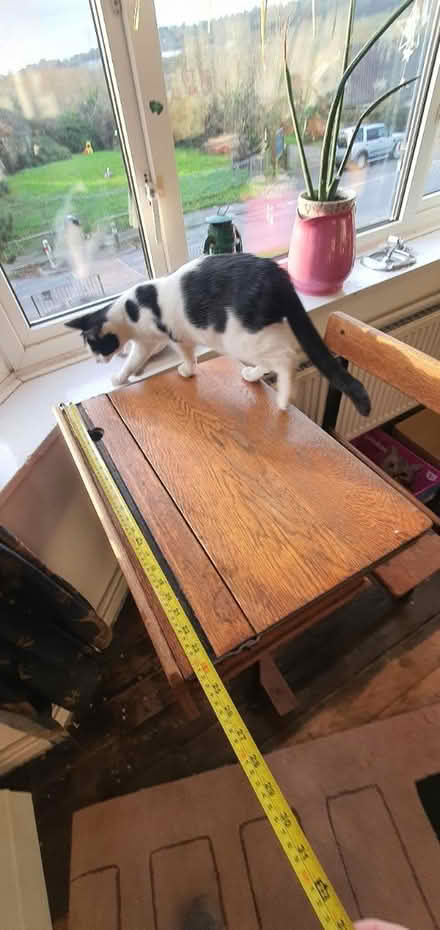 Photo of free Beautiful Old Desk (TN35) #4