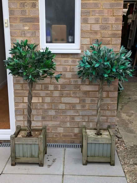 Photo of free Ornamental artificial bay trees (2) (Hook RG27) #1