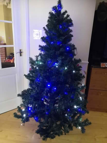 Photo of free Christmas Tree with lights (Bearwood BH11) #2