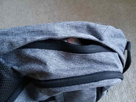 Photo of free Rucksack (Letchworth SG6) #1