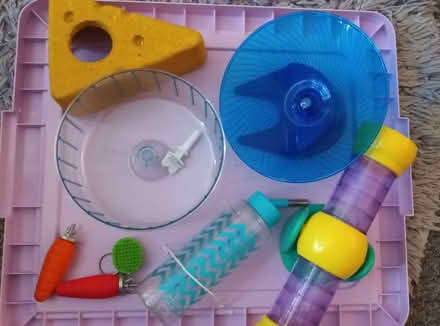 Photo of free Hamster accessories (Leigh Park PO9) #2