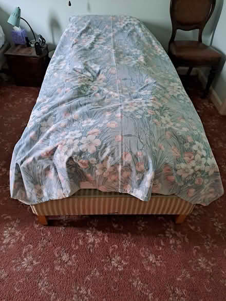 Photo of free Single beds (Kington HR5) #2
