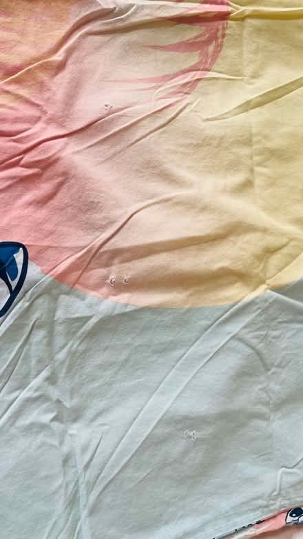 Photo of free Lilo&Stitch single duvet set (Ealing W5) #2