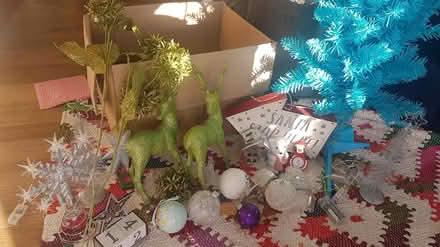 Photo of free Christmas decorations (Staplecross TN32) #1