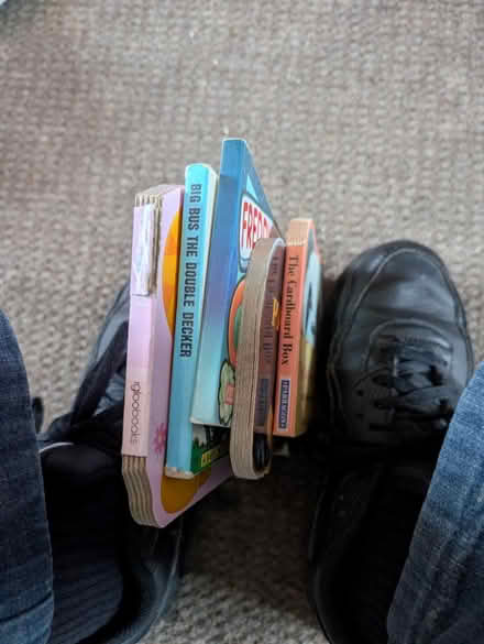 Photo of free 5 assorted board books (Woodley RG5) #2