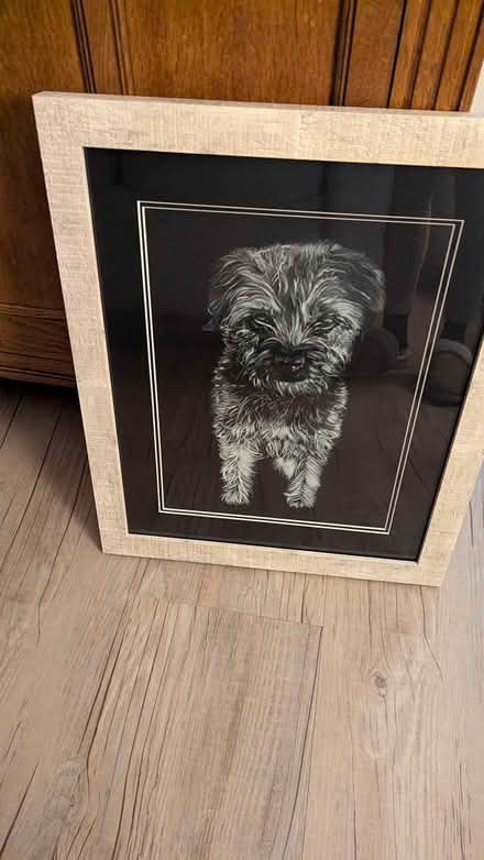Photo of free Terrier print (Huntley) #3