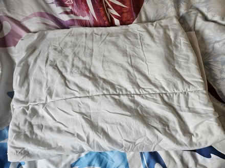 Photo of free Light baby/toddler duvet (South Norwood SE25) #1