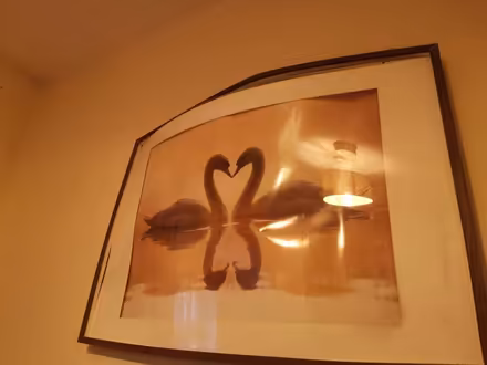 Photo of free Romantic swan art frame need repair (Whalley range M16 7) #1