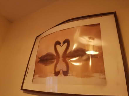 Photo of free Romantic swan art frame need repair (Whalley range M16 7) #1