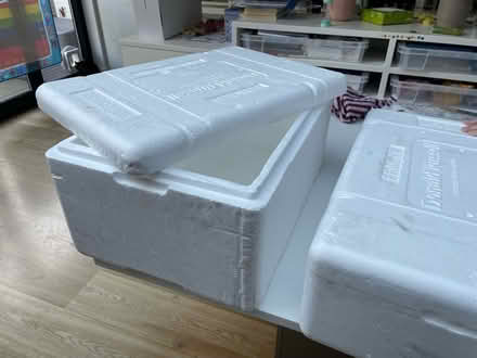 Photo of free 2 styrofoam coolers (SW11) #1
