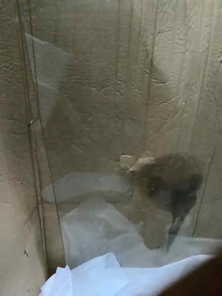 Photo of free Curved top shower screen (Brentford TW8) #2