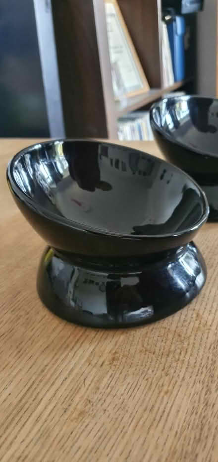 Photo of free Ceramic Cat Bowls (TN35) #1