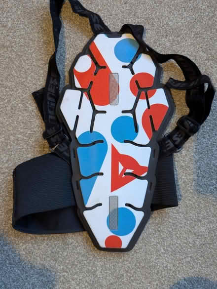 Photo of free Snowboard back protector (Bear Flat, Bath BA24) #1