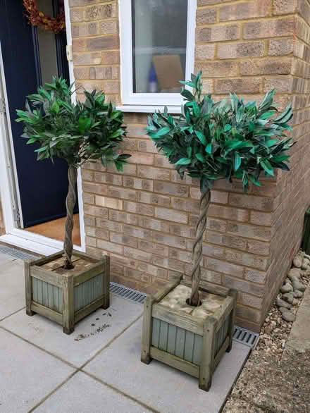 Photo of free Ornamental artificial bay trees (2) (Hook RG27) #3