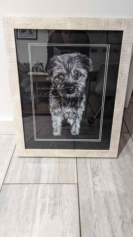 Photo of free Terrier print (Huntley) #2