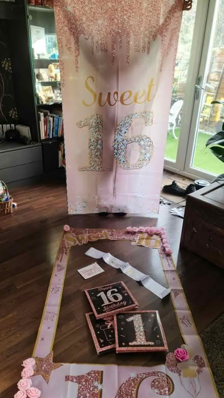 Photo of free Birthday 16 party decorations (HP12 Nr Booker Airfield) #1