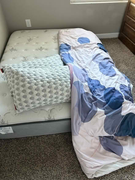 Photo of free Full sized posturepedic Mattress (Florence) #1