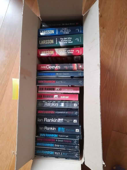 Photo of free Detective/mystery/thriller books (Kingsway) #1