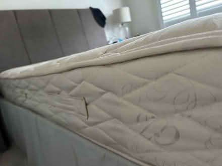 Photo of free Double Sized Mattress (Twickenham TW2) #4