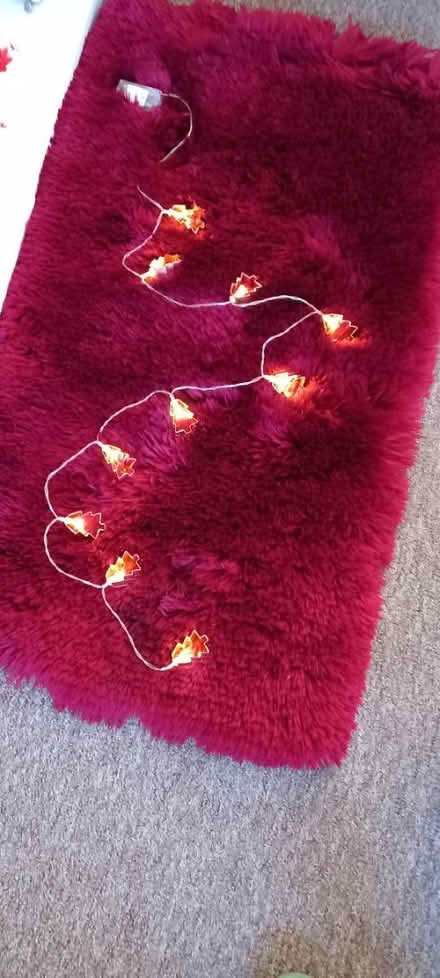 Photo of free Xmas lights (Kettering) #1