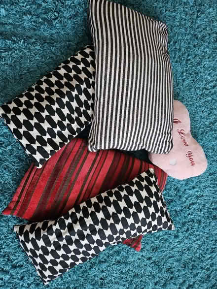 Photo of free Cushions (South Norwood SE25) #1