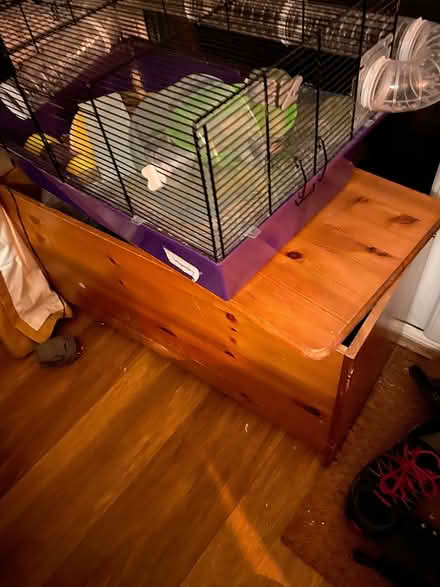 Photo of free Hamster cage (L19) #1