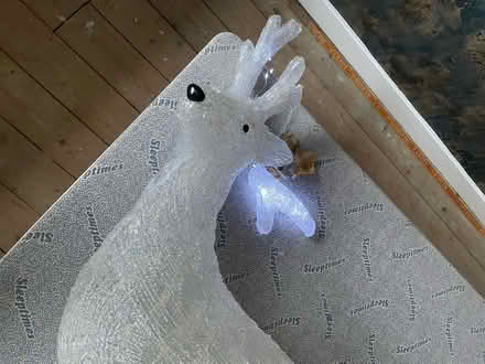 Photo of free Light up plastic garden reindeer (SK7 Bramhall) #3