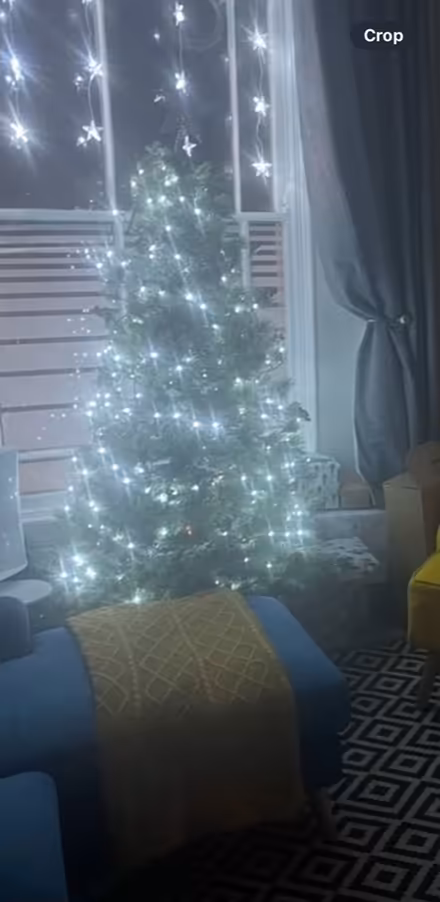 Photo of free 6 Foot Christmas Tree (Camberwell, SE5) #1