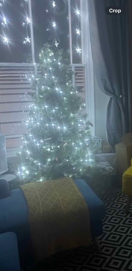 Photo of free 6 Foot Christmas Tree (Camberwell, SE5) #1