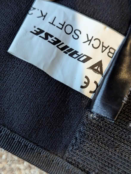 Photo of free Snowboard back protector (Bear Flat, Bath BA24) #3