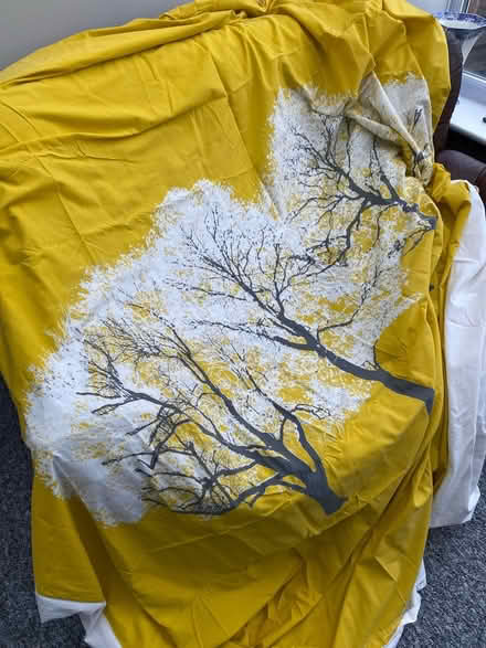 Photo of free Bedding (Ripley DE53) #2